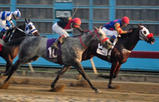 Large Kaufy conquista el Clásico Kalil Haché en el hipódromo V Centenario