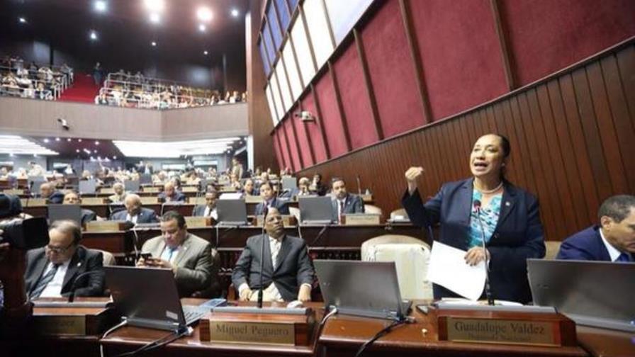 Diputada denuncia se irrespetó institucionalidad en aprobación observaciones a Código Penal