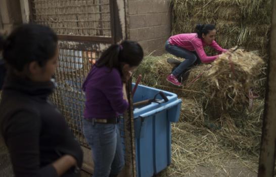 Jockeys en México sueñan con EEUU