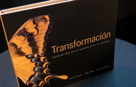 Eladio Fernández y sus 12 metamorfosis