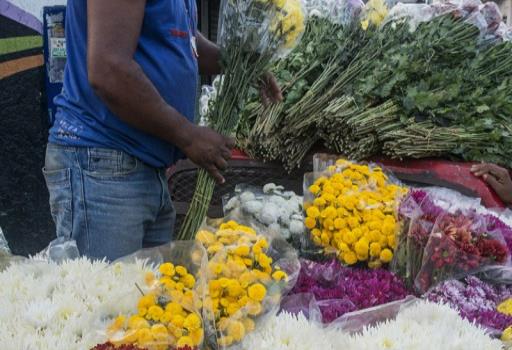 El mercado de las flores: entre el auge y la informalidad