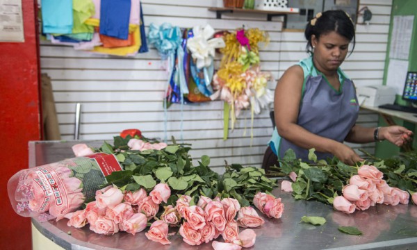 El mercado de las flores: entre el auge y la informalidad - Diario Libre