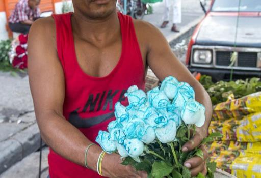 El mercado de las flores: entre el auge y la informalidad