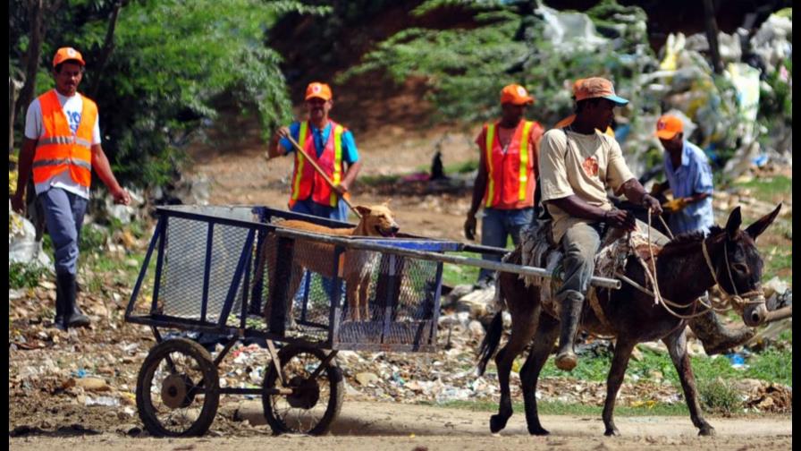 Llevando cómodo a su mejor amigo