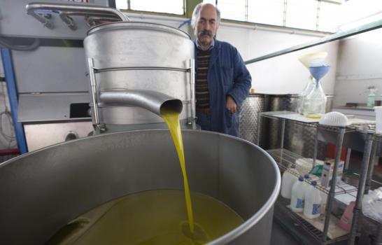 Cultivos dañados podrían traducirse en mayor precio del aceite de oliva