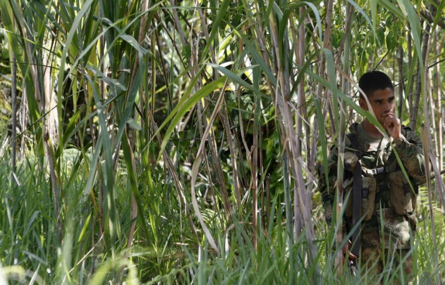 Comienza el alto el fuego unilateral e indefinido de las FARC en Colombia