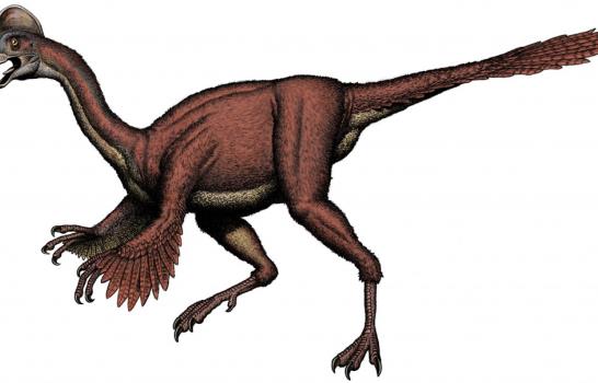 Científicos descubren restos de dinosaurio que vivió hace 66 millones de años