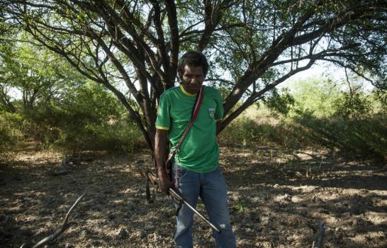 Indígenas ayoreo, los últimos guardianes de los bosques vírgenes del Chaco