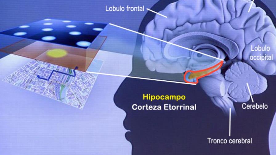El asombroso GPS humano