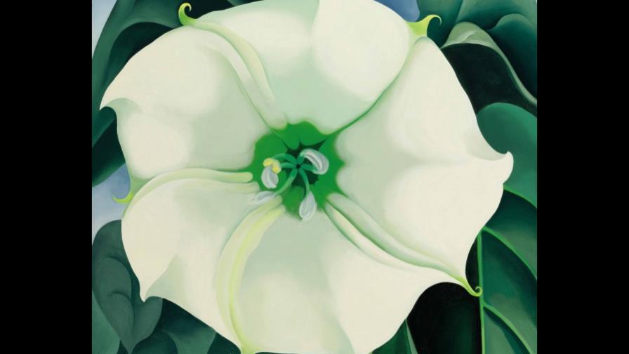 Cuadro de OKeeffe por 44,4 millones, el más caro jamás pintado por una mujer