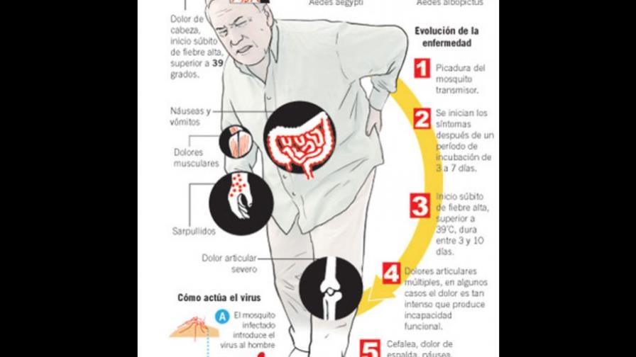 Chikungunya, en expansión