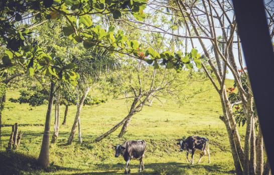 Un paraíso ecológico