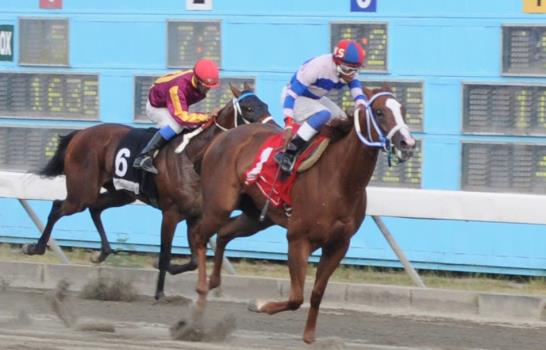 Belleza gana la primera gema de la Triple Corona en el V Centenario Belleza gana la primera gema de la Triple Corona en el V Centenario