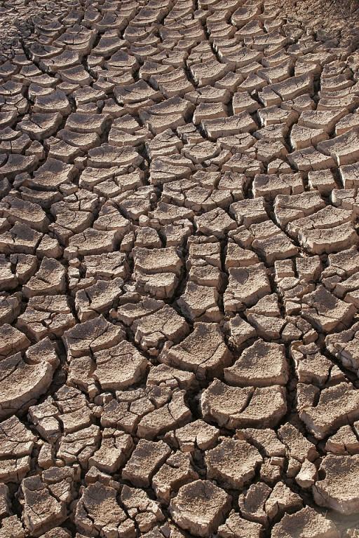 Centroamérica debe prepararse ante la sequía aunque no aparezca El Niño