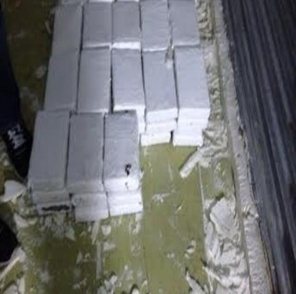 DNCD confisca en Cotuí 54 paquetes de droga en contenedor de piña
