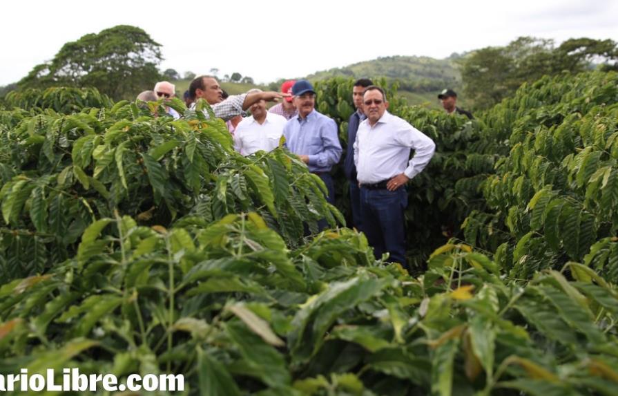 Danilo Medina visita un proyecto de la familia Perelló