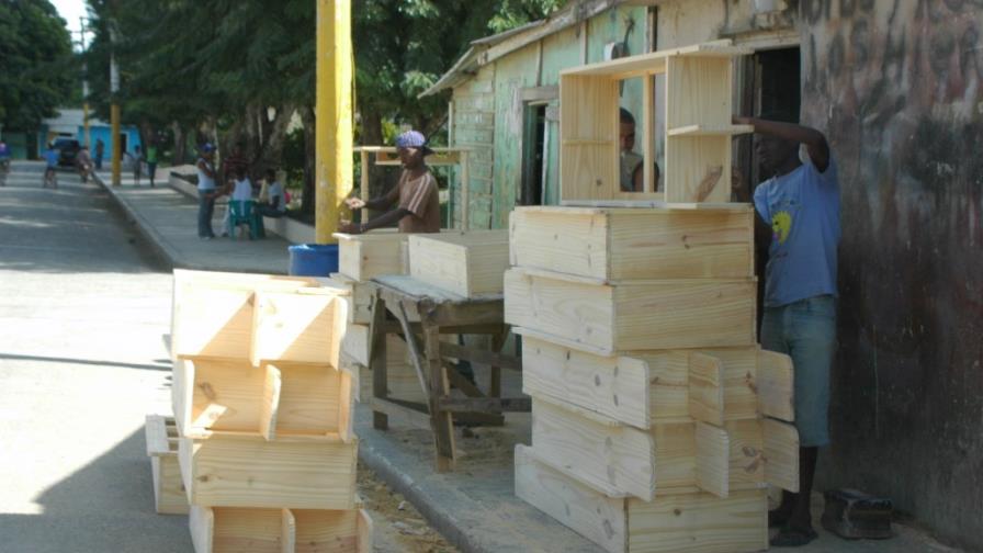 Más de 47 mil microempresas están registradas en el SDSS