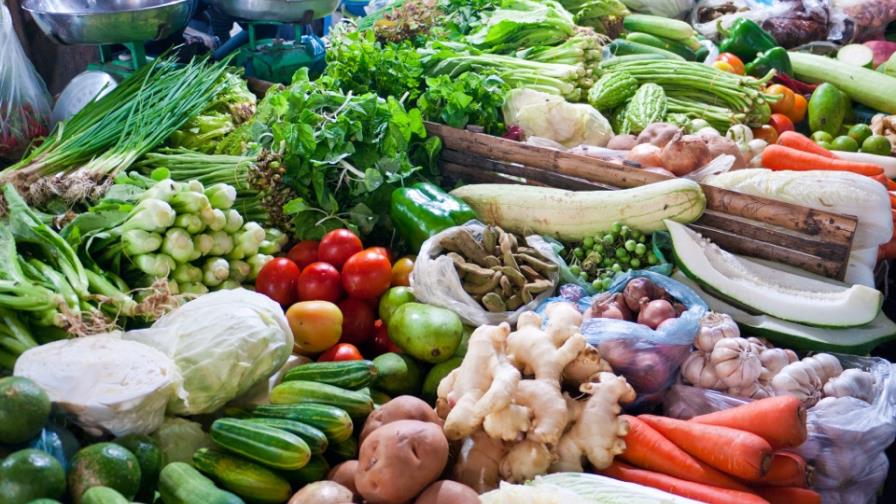 Bayer lanza insecticida para control de plagas responsable con el medioambiente Bayer lanza insecticida para control de plagas responsable con el medioambiente