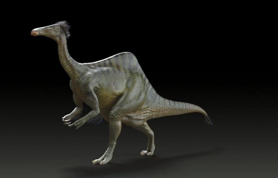 Nuevos fósiles revelan que el Deinocheirus era un dinosaurio-avestruz