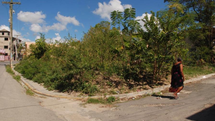 Intervendrán más de doscientos solares baldíos