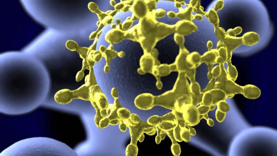 La lepra, una enfermedad curable y poco transmisible La lepra, una enfermedad curable y poco transmisible