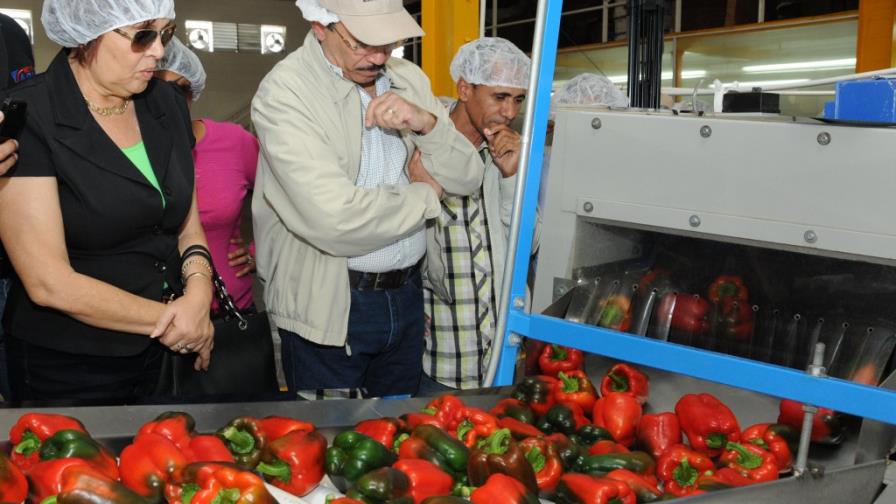 Gobierno estimulará la producción en invernaderos Gobierno estimulará la producción en invernaderos