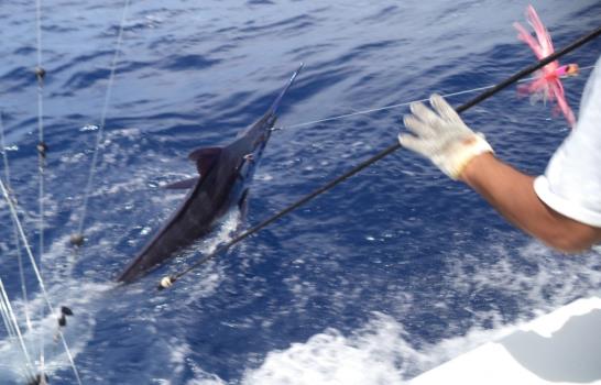 Caza y Pesca “Romana” apunta hacia los 50 años del torneo al Marlin Azul