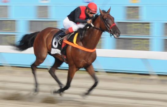 Shooks Town Road y Mr. Lightning cumplen en el Hipódromo V Centenario