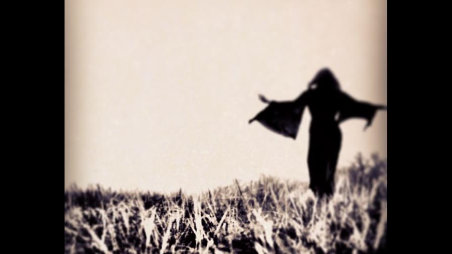 Artista sueco prepara una película de 720 horas, la más larga de la historia Artista sueco prepara una película de 720 horas, la más larga de la historia