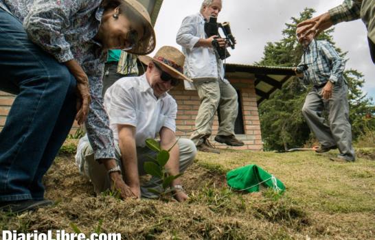 ébano verde para Erik Ekman