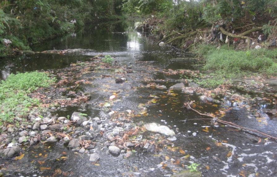 Río Maguá agoniza por contaminación