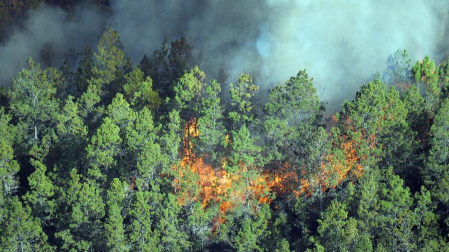 Incorporan un avión cisterna y dos helicópteros a combatir el fuego forestal Incorporan un avión cisterna y dos helicópteros a combatir el fuego forestal