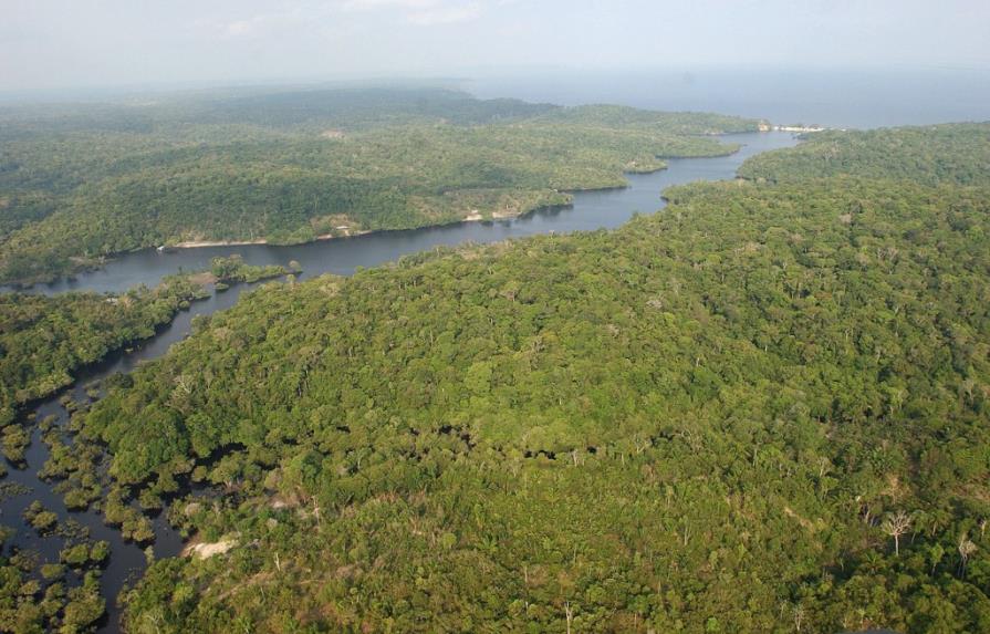Desarticulan el considerado mayor grupo deforestador de la Amazonía en Brasil