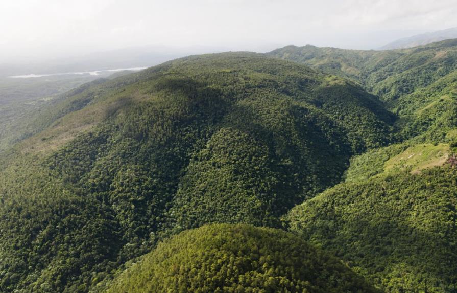 Senado envía al Poder Ejecutivo ley que declara parque nacional a Loma Miranda