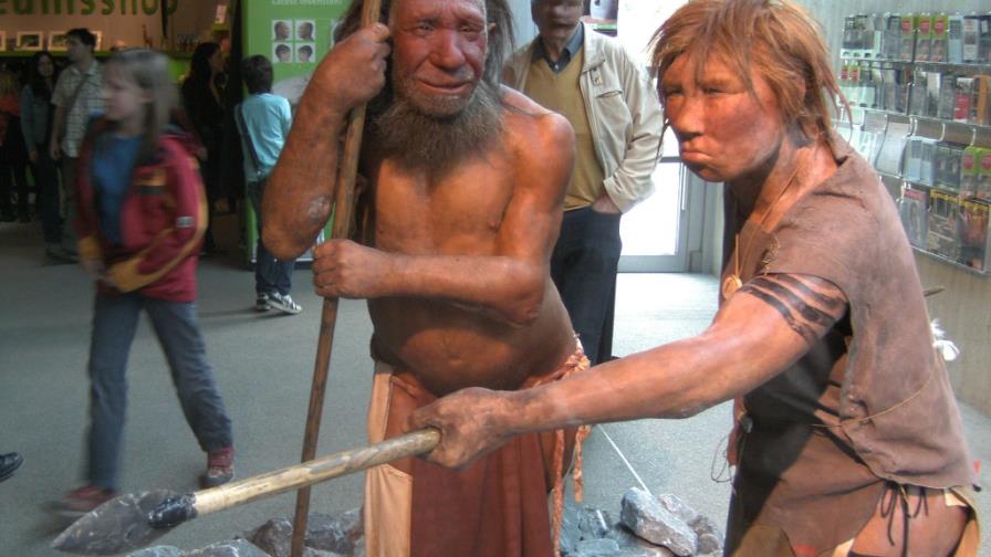 Los genes de los neandertales ayudaron al hombre moderno a adaptarse al frío Los genes de los neandertales ayudaron al hombre moderno a adaptarse al frío
