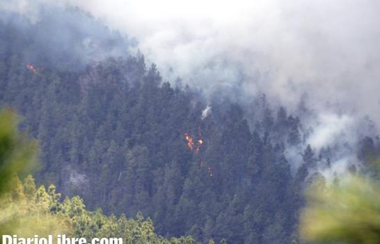 Medio Ambiente busca ayuda internacional por el incendio en Valle Nuevo