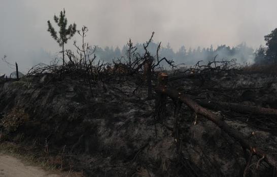 Llovizna empieza a caer en la zona de incendio del parque Valle Nuevo