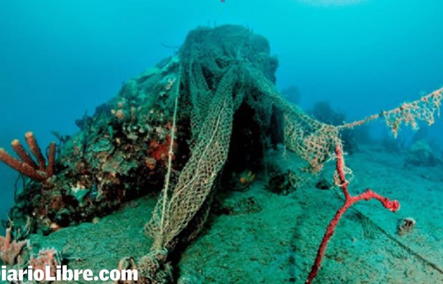 Más que recursos, se necesita una estrategia para salvar los corales