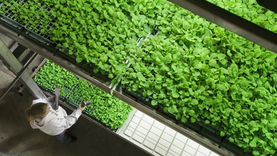 Fármaco experimental para curar el ébola da resultado alentador