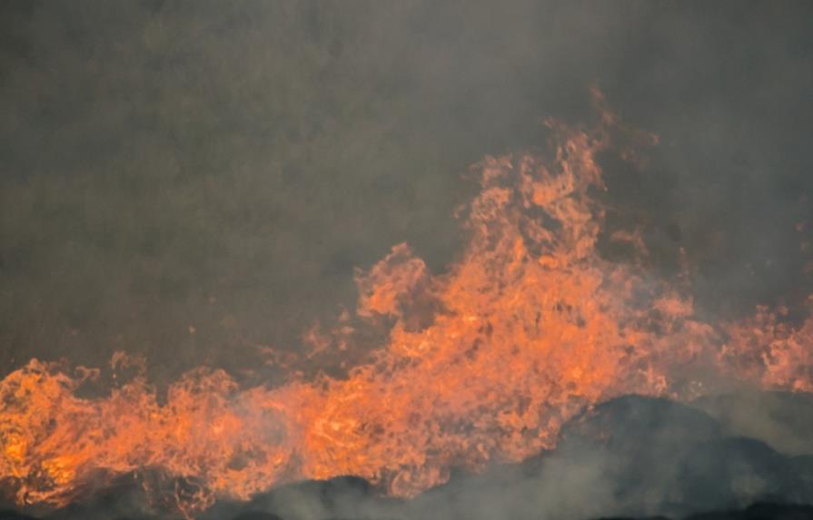 Combate y consecuencias de los incendios forestales