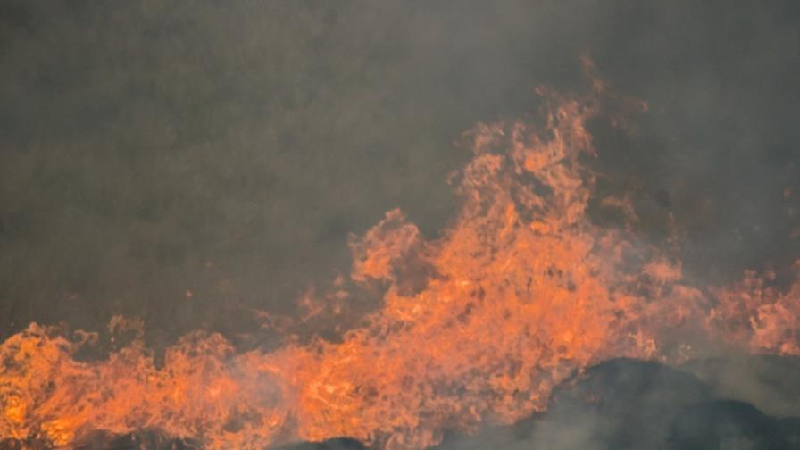 Combate y consecuencias de los incendios forestales
