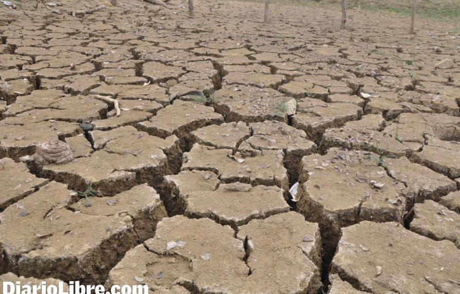 Onamet: La sequía es más aguda en este año 2014