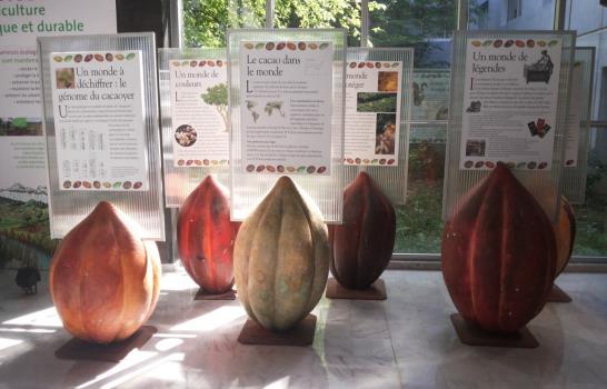 Empresarios dominicanos y haitianos del cacao visitan chocolatera en Francia Empresarios dominicanos y haitianos del cacao visitan chocolatera en Francia