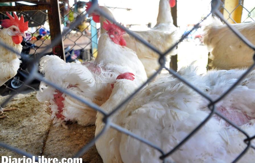 Advierten a productores avícolas sobre riesgos por el uso de formol