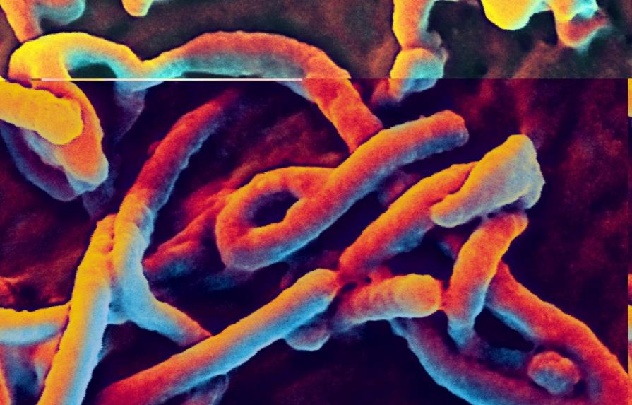 Sobreviviente de ébola elogia fármaco experimental