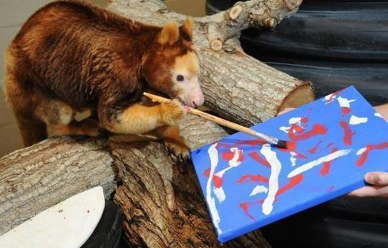 Zoológico inaugura una muestra de pinturas hechas por animales