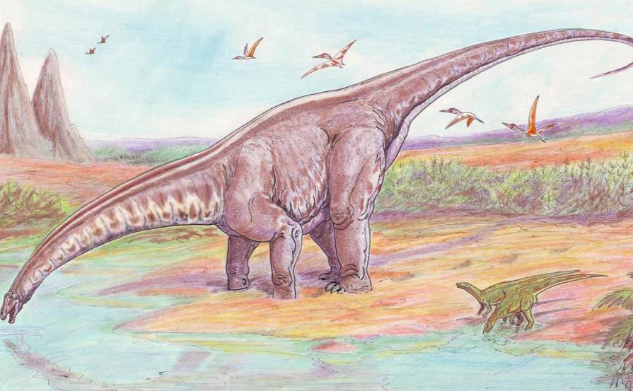 Equipo internacional estudia crecimiento de dinosaurios saurópodos en España