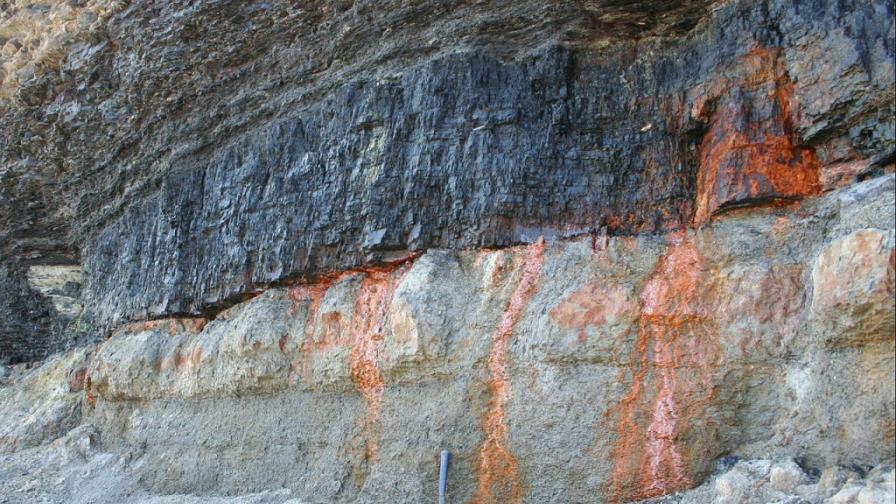 Los argumentos decisivos a favor de la tarificación mundial del carbono