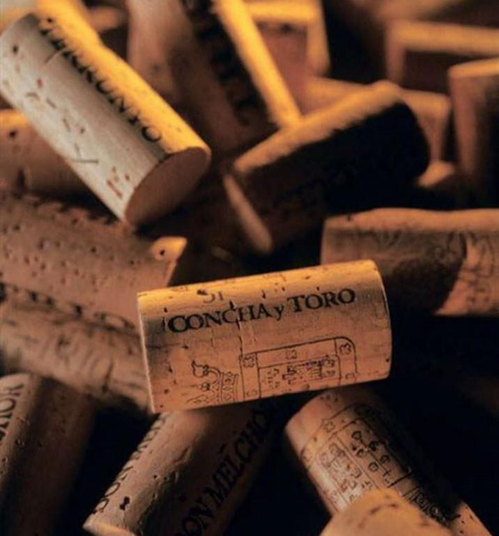 Concha y Toro repite como la marca de vinos más poderosa del mundo