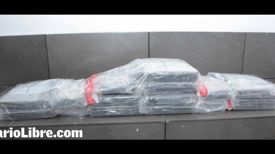 DNCD y DEA detienen grupo realizaría venta